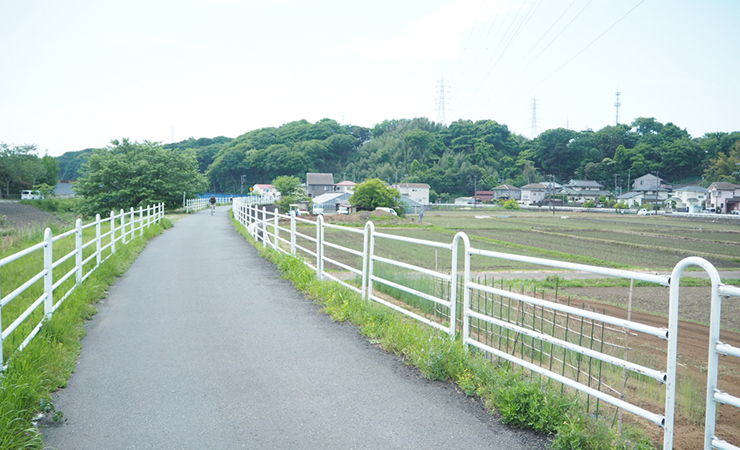 藤沢大和自転車道